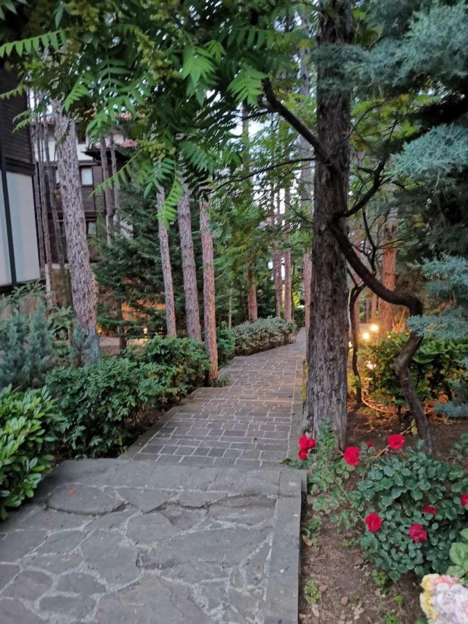 Quiet Apartment With Big Terrace In Santa Marina With Parking Sozopol Exterior photo